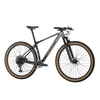 Bicicleta Black Orange Iridium Expert Carbon GX Cinza