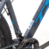 Bicicleta TSW Ride Cinza/Azul-19
