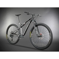 Bicicleta Orbea Oiz M11 Axs Cinza