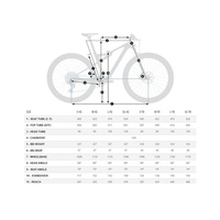 Bicicleta Orbea Oiz M11 Axs Cinza