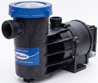 Pré Filtro Bomba para Piscina 1/3 Cv Blindada 