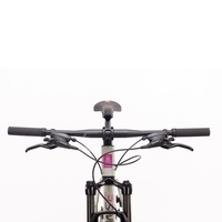 Bicicleta Sense Fun Comp Cza/Roxo